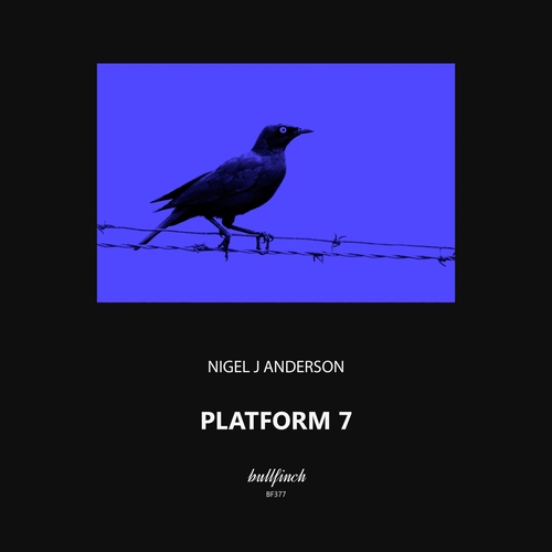 Nigel J Anderson - Platform 7 [BF377]